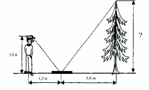 На рисунке изображен человек ростом 1,6 м. Человек смотрит в зеркало, лежащее от него на расстоянии