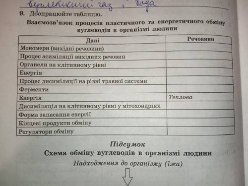 10 клас доопрацюйте таблицю взаємозв'язок процесів пластичного та енергетичного обміну вуглеводів в