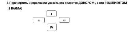 Перечертить и стрелками указать кто является ДОНОРОМ, а кто РЕЦЕЛИЕНТОМ​