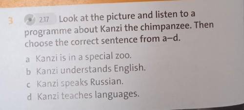 Of languages Look at the picture and listen to ame about Kantithe chimpanzee. Thenchoose the correct