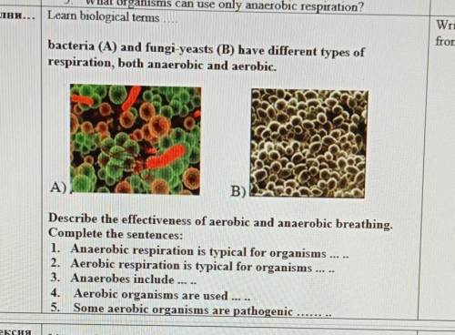 БиологияТема:анаэробные и аэробные типы дыхания. ​