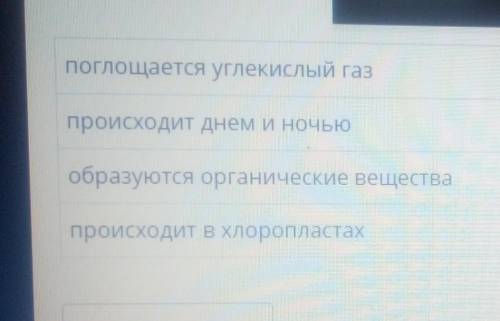 Дыхание растений. Лабораторная работа «Исследование дыхания у растений» Сравни дыхание растений и фо