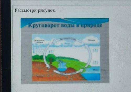 Рассмотри рисунок Запиши круговорот воды в природе​