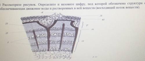 решит задание по биологии​