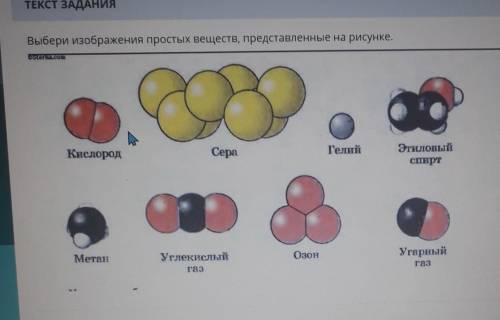 с Естествознанием 6 класс​