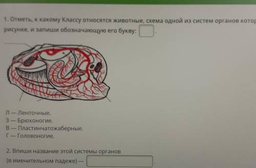 Первый вопрос не видно, так что там написано Отметь, к какому классу относятся жмвотеы4, схема одной