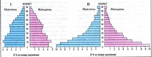Объясните различия между возрастно-половыми пирамидами стран первого и второго типа воспроизводств н