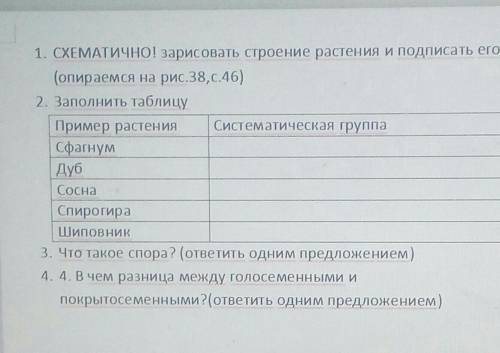 заполнить таблицу пример растения систематическая группа сфагнум дуб сосна спирогира шиповник