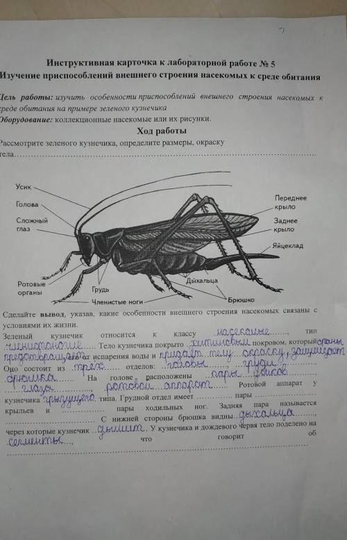 дописать лабораторную работу.​