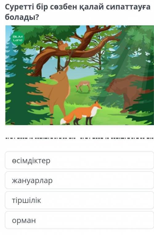 Қызыл кітап Суретті бір сөзбен қалай сипаттауға болады?өсімдіктержануарлартіршілікорман​