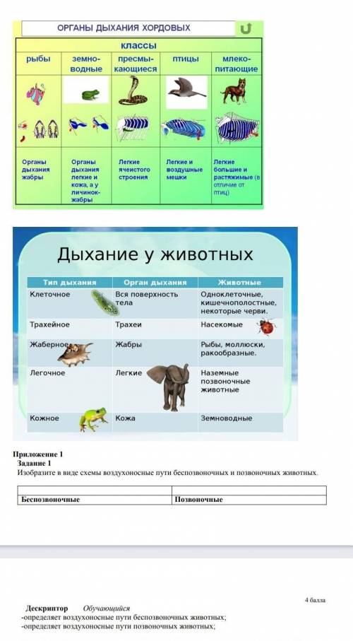 по биологии и правильно. задание 1. ​