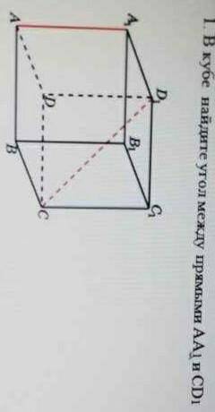 В кубе найдите угол между прямыми аа1 сд1​