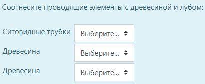 Соотнесите проводящие элементы с древесиной и лубом: Ситовидные трубки - Луб/Сосуды/Трахеиды Древес