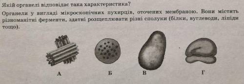 Якій органели відповідає така характеристика???