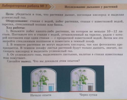 Лабораторная работа No 7 Исследование дыхания у растенийЦель: убедиться в том, что растения дышат, п