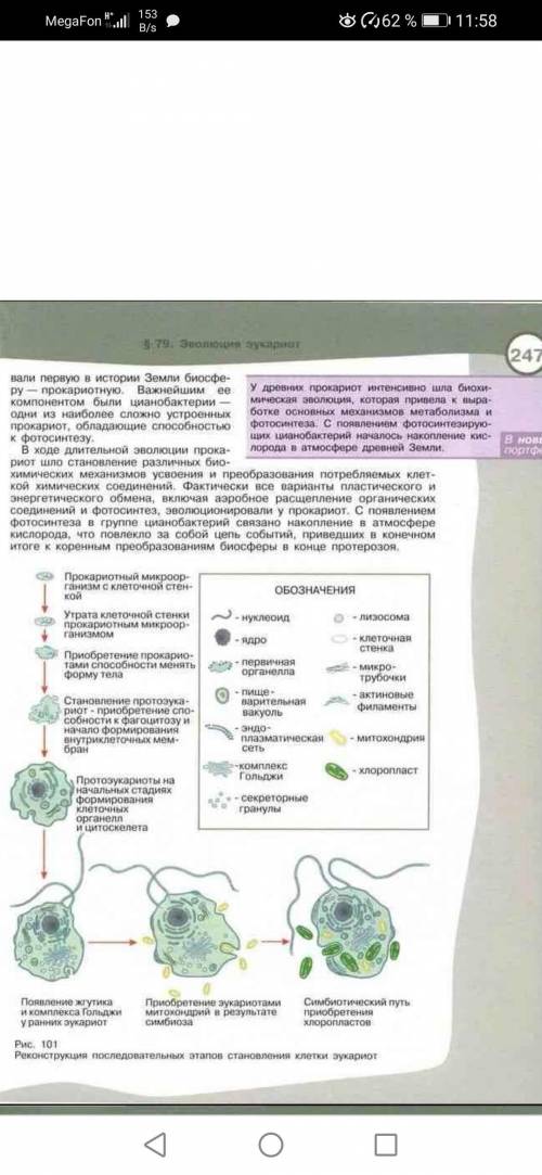 Каков возможный сценарий развития живых существ?