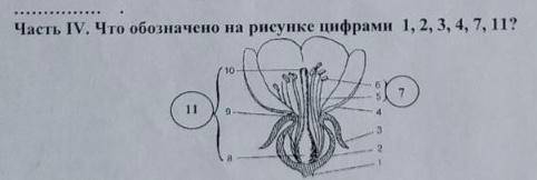 1. раздражимость характерна: а)только для растений б)только для животных в)для всех живых организм