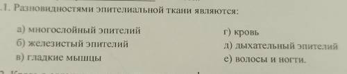 Разновидностями эпителиальной ткани является:​