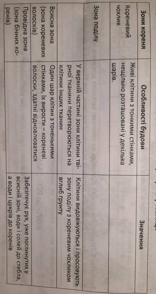 задание- у таблиці наведені особливості внутрішньої будови кореня. Укажіть правильну комбінпцию хара