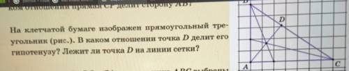 На клетчатой бумаге изображен прямоугольный треугольник. В каком отношении точка Д делит его гипотен