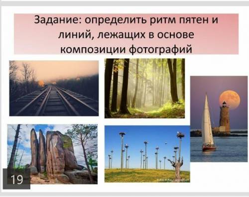 Определите ритм пятен на фотографиях ​