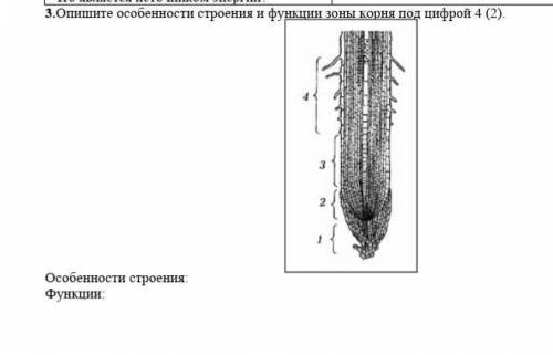 это последнее задание сор если не решите мне пипец