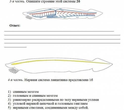 От если правильно тут легко!