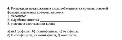 4. Распредели предложенные типы лейкоцитов на группы, основой функционирования которых является: 1.