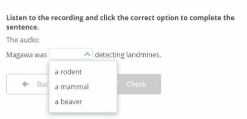 Listen to the recording and click the correct option to complete the sentence. Magawa was ... detect