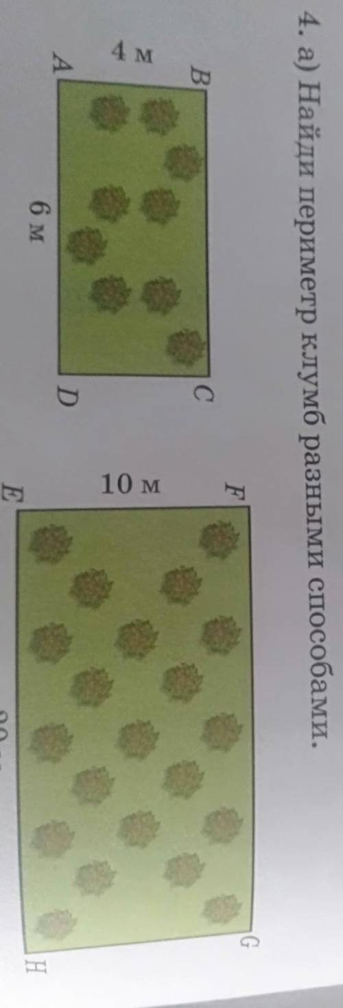 4. а) Найди периметр клумб разными Кто ответить ему один подписчик.​