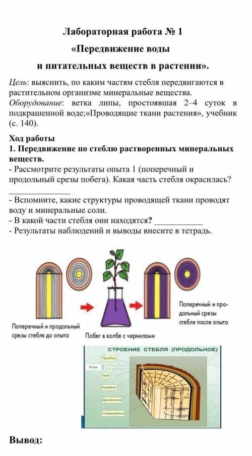 ответить на вопросы и сделать вывод. ​