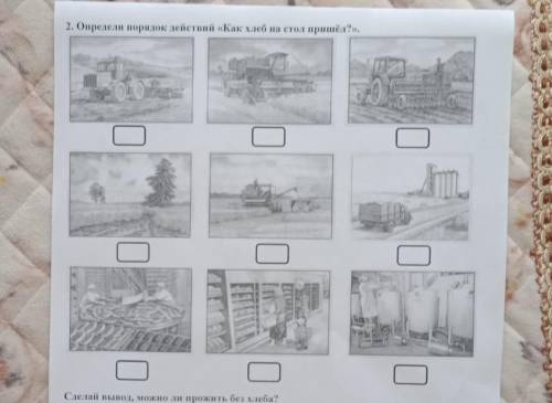 2. Определи порядок действий «Как хлеб на стол пришёл?».​