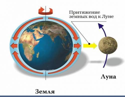 Посмотрите на рисунок. ответьте на вопросы: Как образуются приливы и отливы? Что влияет на их образо