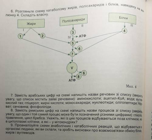 До ть зробити практичну ів