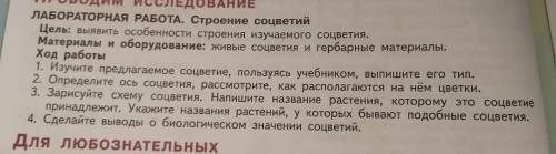 сделать лабораторную работу ​