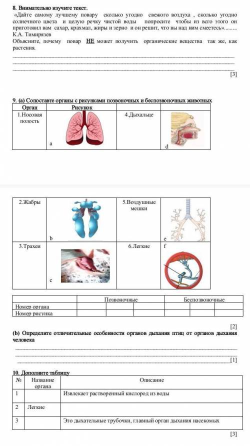 СОЧ за 2 четверть, 1 вариант, 7 класс очень нужно​