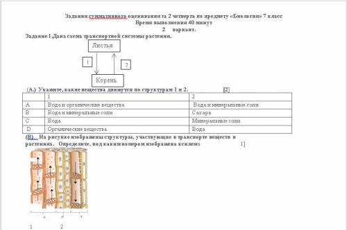 Укажите, какие вещества движутся по структурам 1 и 2.