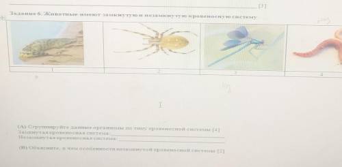 Задание 6. Животные имеют замкнутую и не замкнутую кровеносную систему. ​