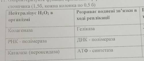 Що нейтралізує H2O2 в організмі? що розриває водневі зв'язки в ході реплікації?(одно вібрать)