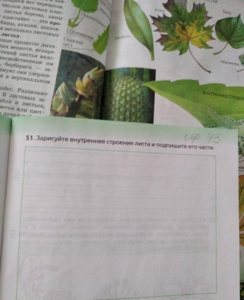 Сделайте буду безумно благодарен, надо сдать сегодня а я делаю конспект, времени мало(