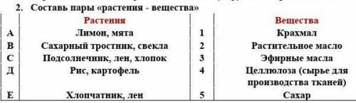 2. Составь пары «растения - вещества» Растения ВеществаА Лимон, мята 1 КрахмалВ Сахарный тростник, с