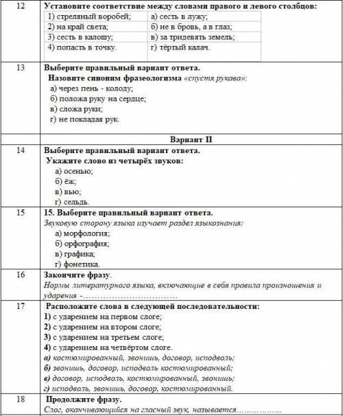 БЛАНК ТЕСТОВОГО ЗАДАНИЯ Вариант II Русский язык. хелп.