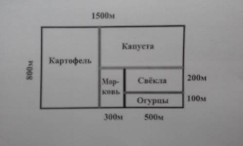 По указанным на чертеже размерам определить сколько гекторов отведено под каждую культуру. Полное ре