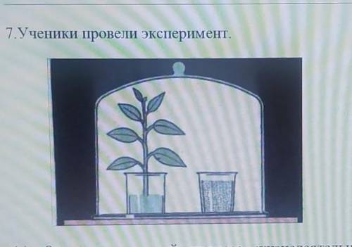 Ученики провели эксперимент.(а) Определите, какой процесс жизнедеятельности организма изучаютученики