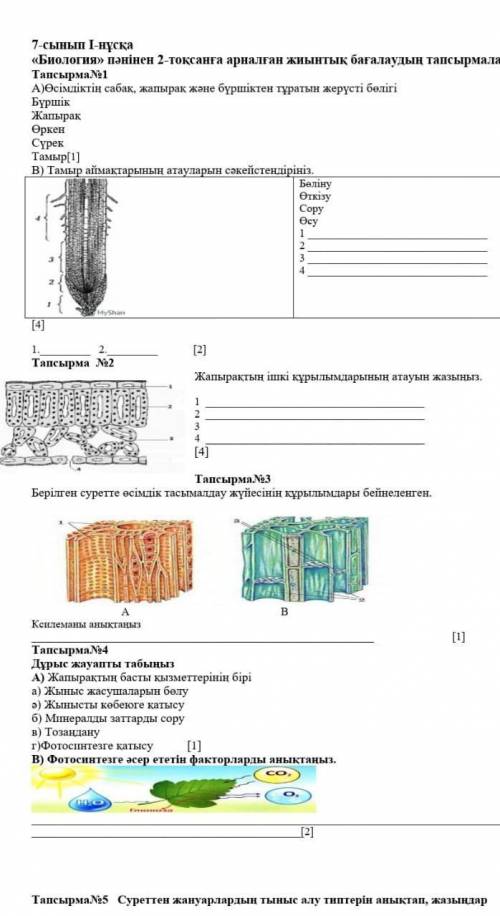 биология ТЖБ Это по казахсикий​