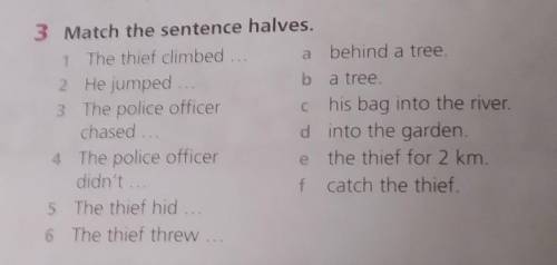 3 Match the sentence halves. 1 The thief climbed a behind a tree2 He jumpedb a tree3 The police offi