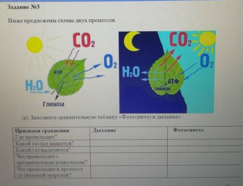 Задание No3 Ниже предложены схемы двух процессов.СО С0,Н,0СО,0,АТФН,0АТФГлюкозаГлюкоза(а) Заполните