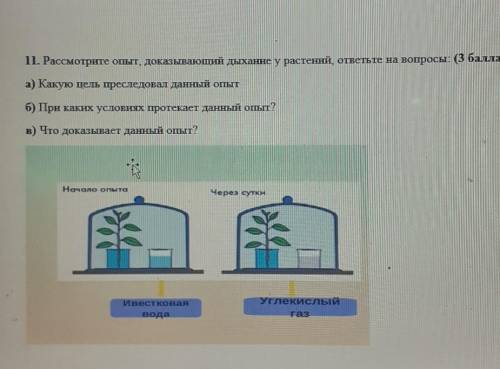 Биология 7 класс Биология 7 класс​