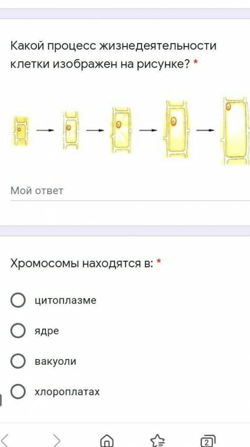 1) Какой процесс жизнедеятельности клетки изображен на рисунке?2) Хромосомы находятся в...​