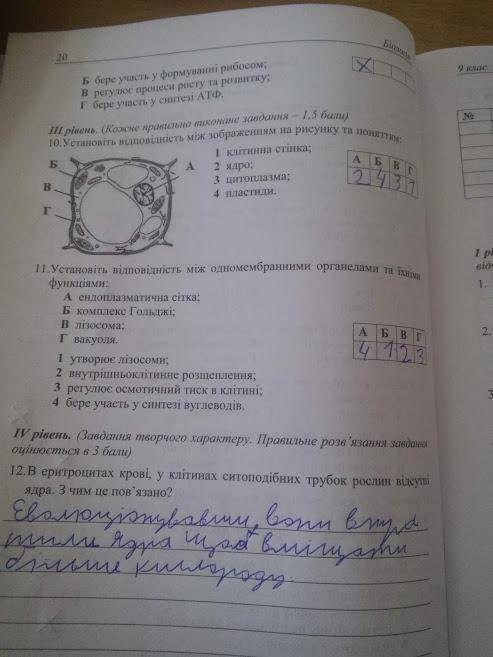 Нужно найти эту тестовую тетрадь со всеми её вопросами в интернете. Может хоть у вас получится